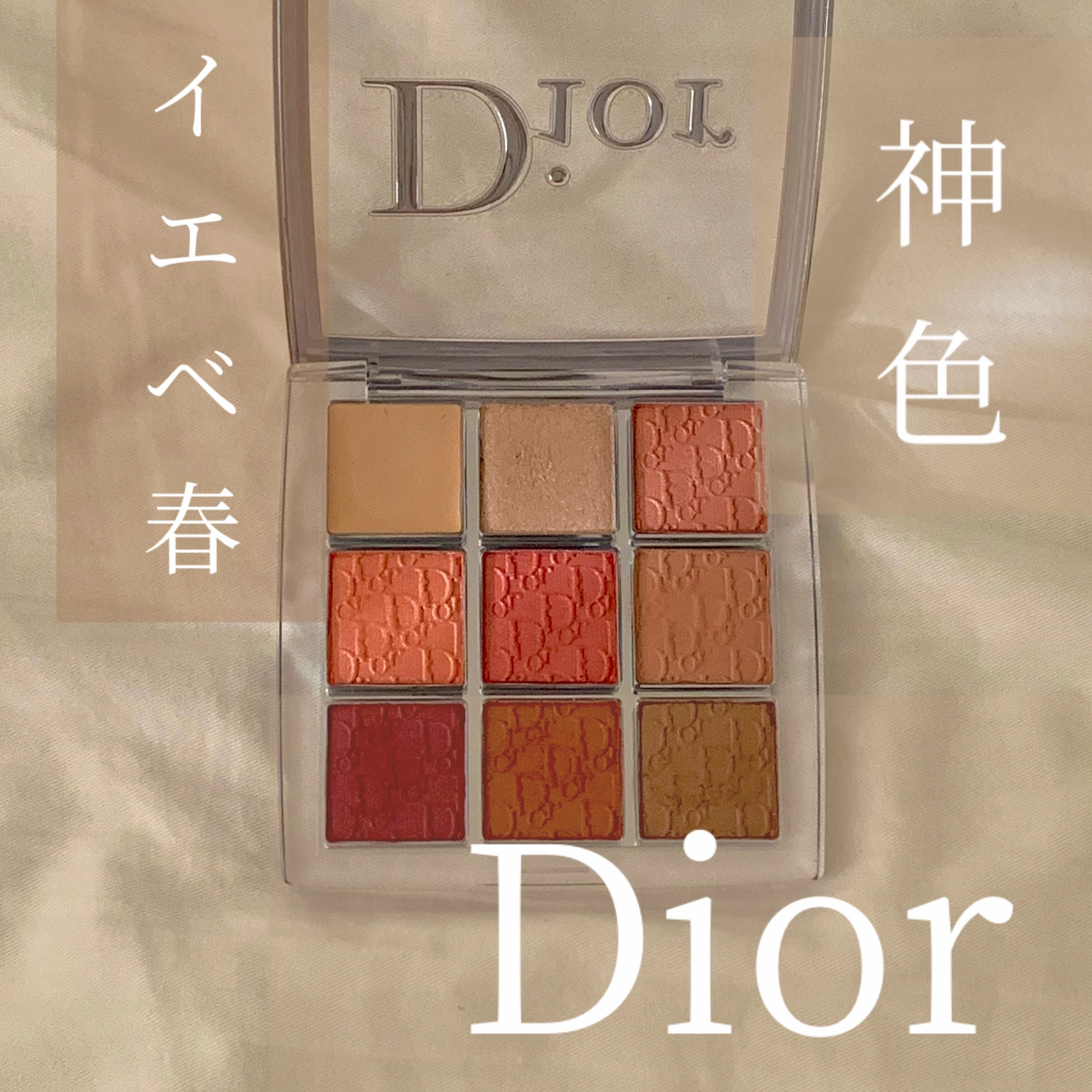【私のベスコス】Dior アイパレット /イエベ春_1_1