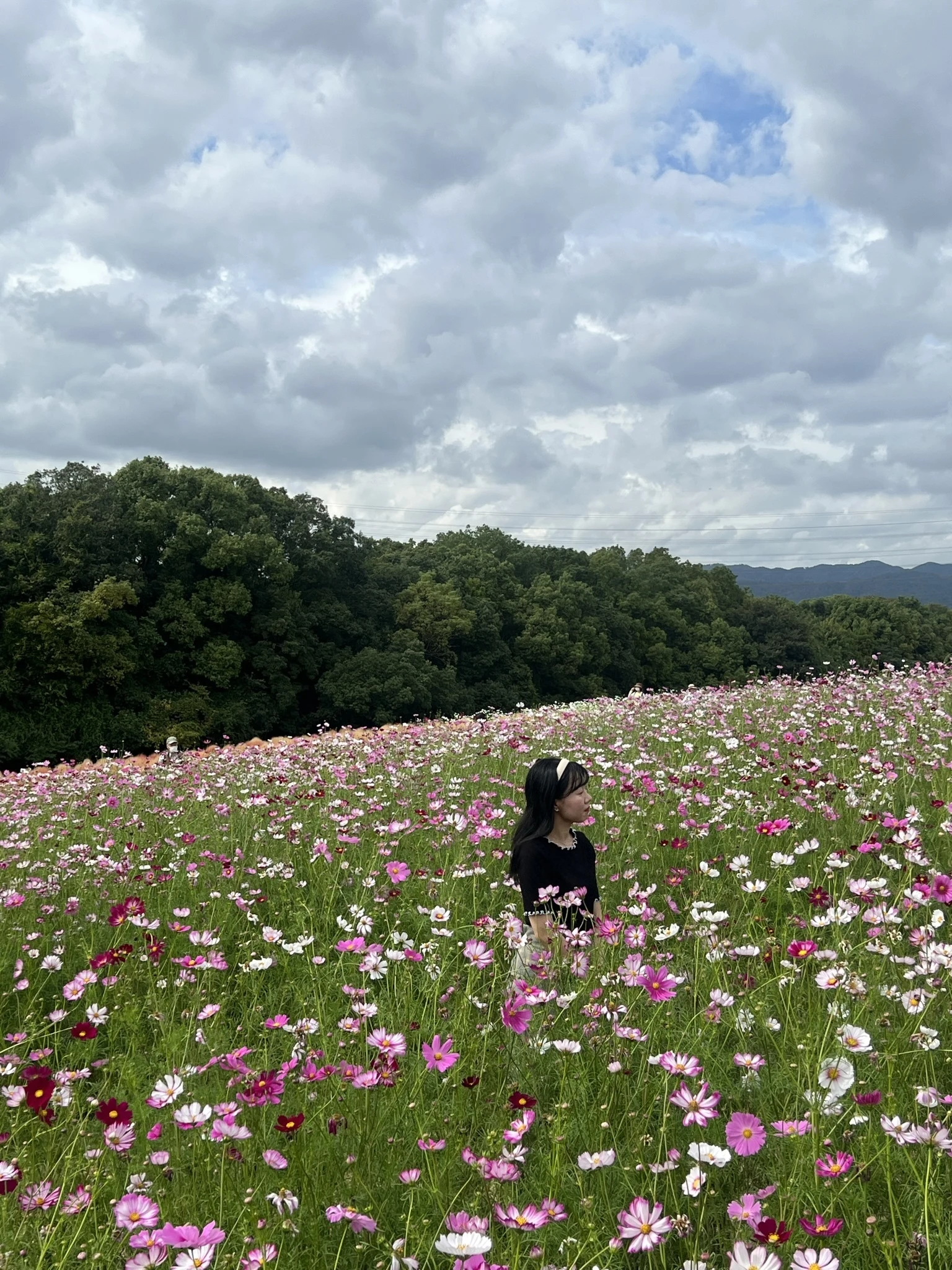 【大阪】私の地元、ここがすごいんです！万博記念公園で季節のお花を！_1_6-1