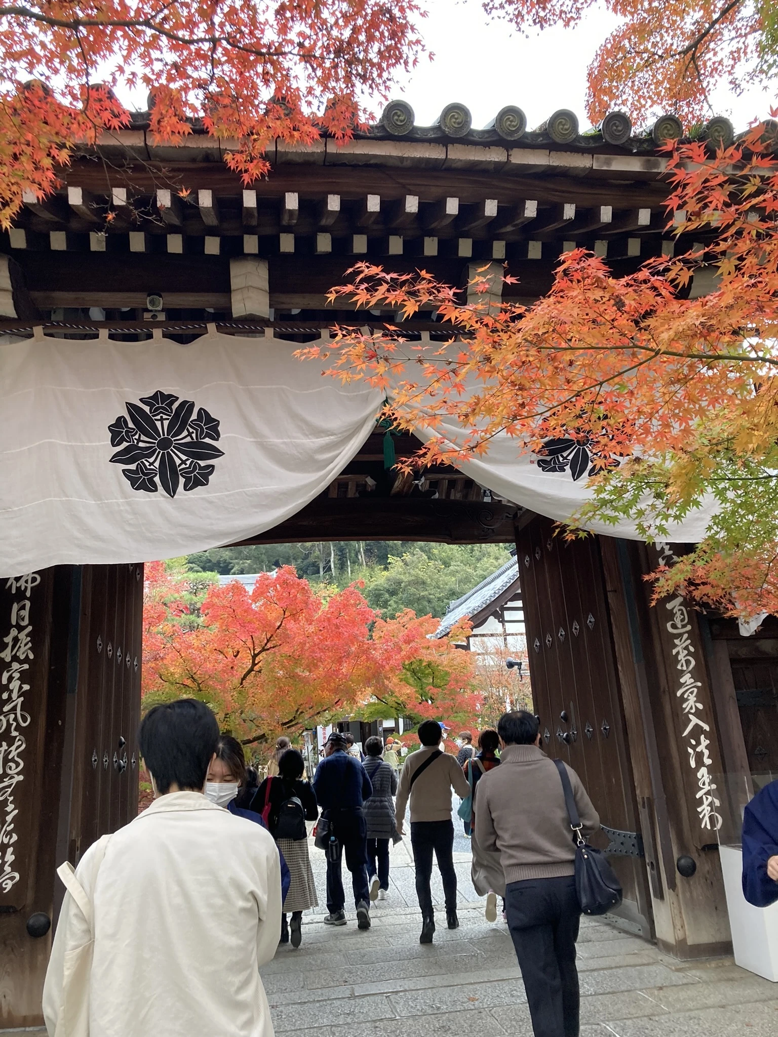 京都　永観堂　入口
