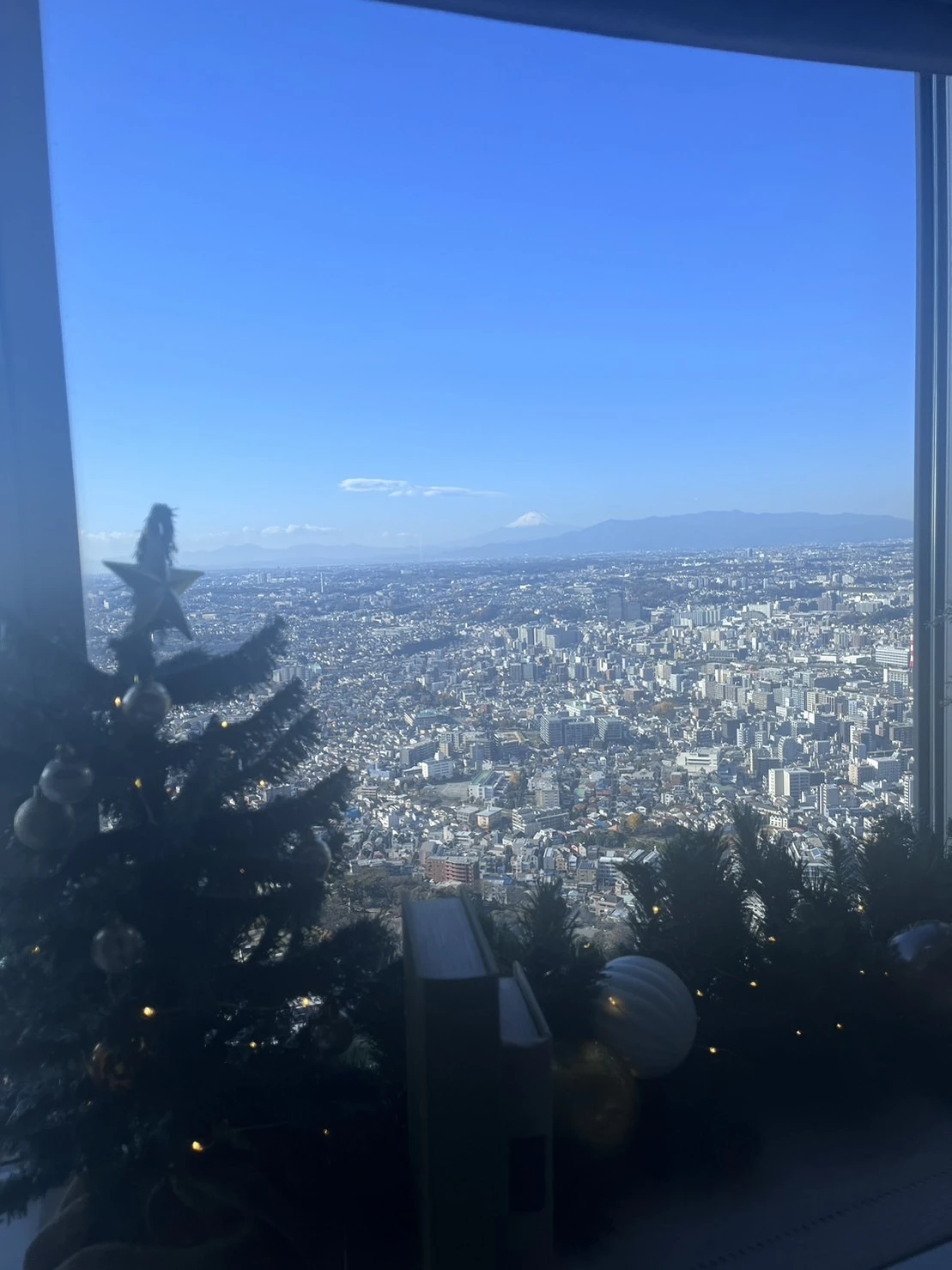 【クリスマス】横浜ロイヤルパークホテルのクリスマスルームがすごすぎた。_1_9