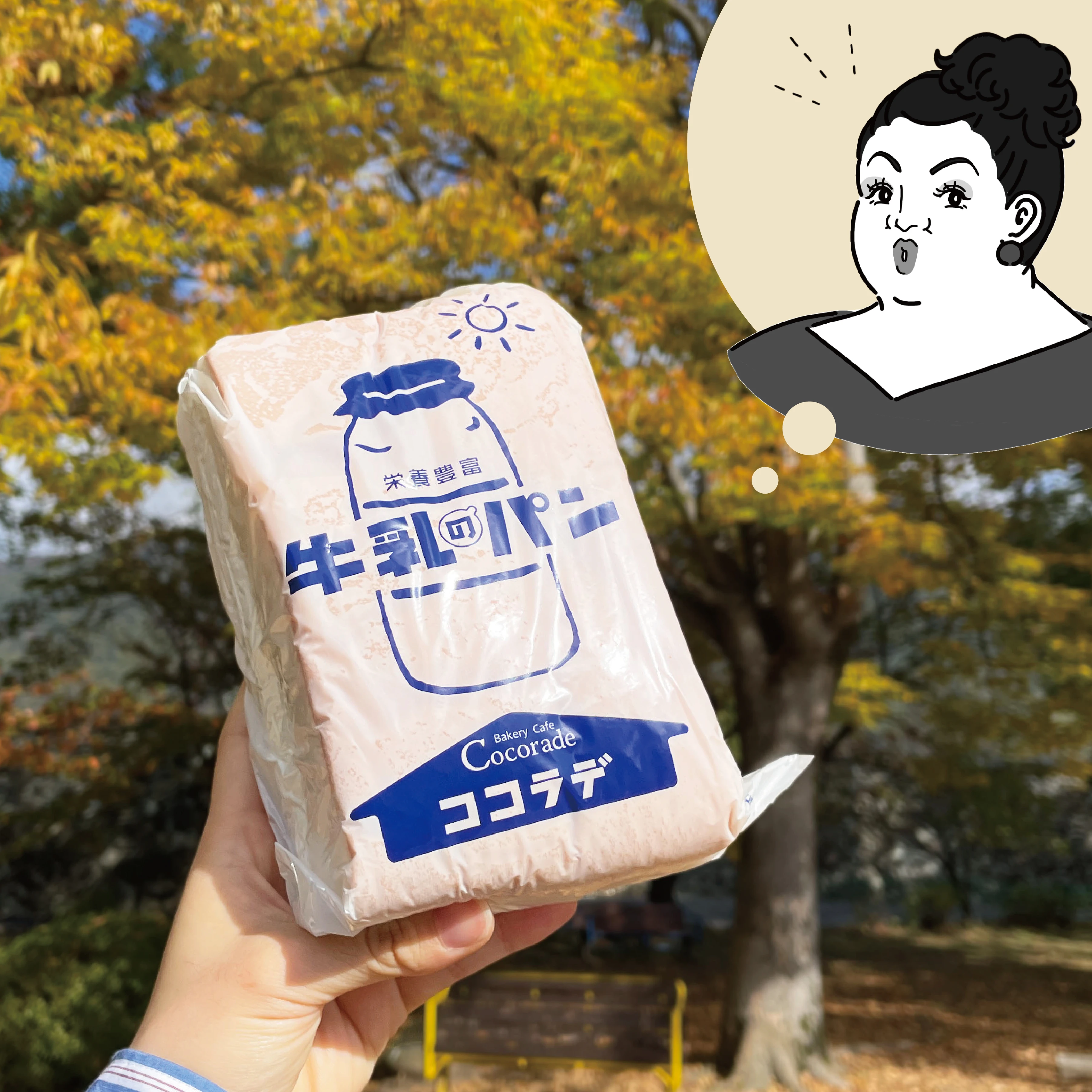 長野県ご当地パン「牛乳パン」　ベーカリーココラデの牛乳パン