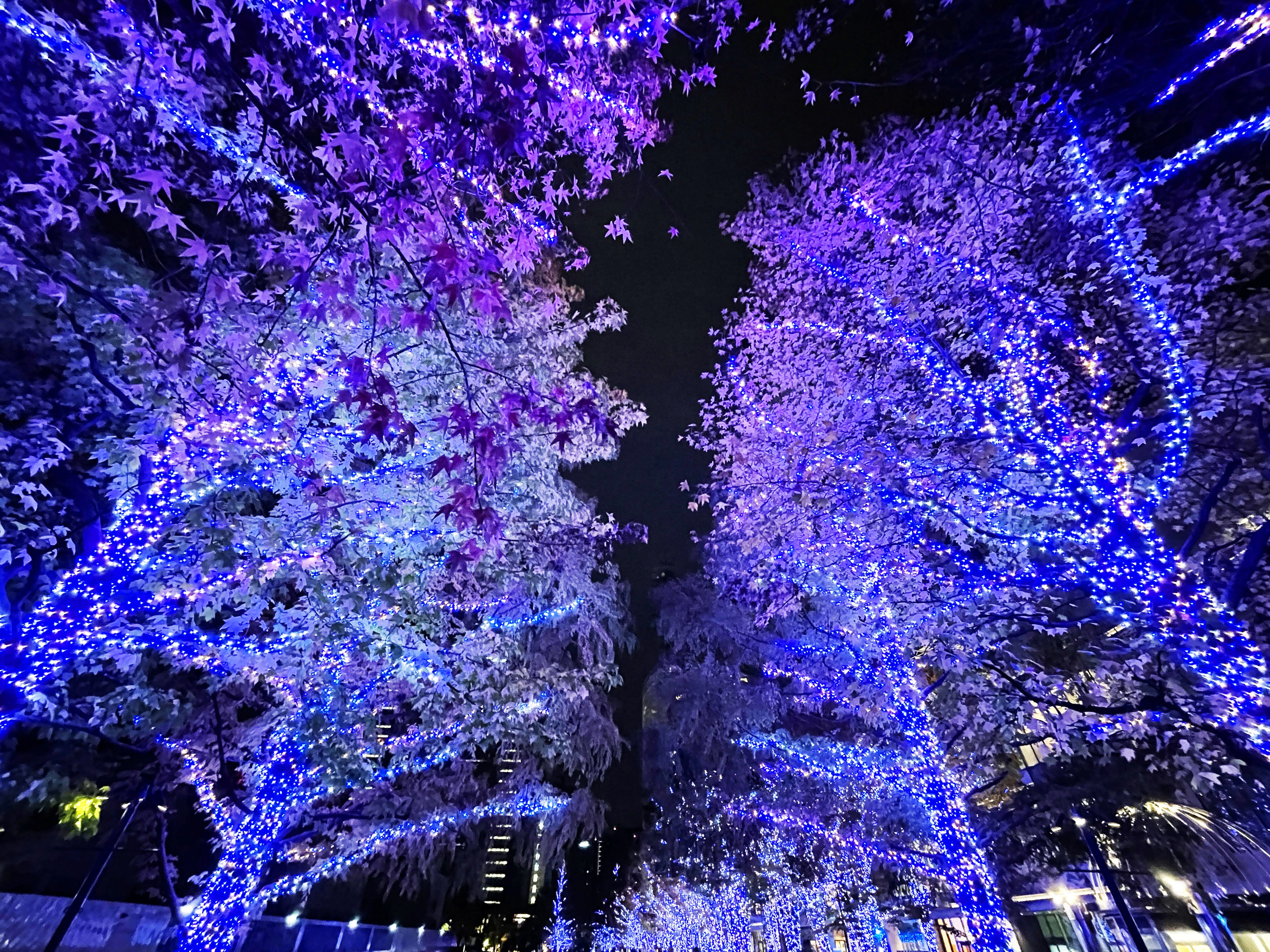 横浜おすすめの夜景スポット　みなとみらいエリア　グランモール公園【ヨコハマミライト2022～みらいを照らす、光のまち～】