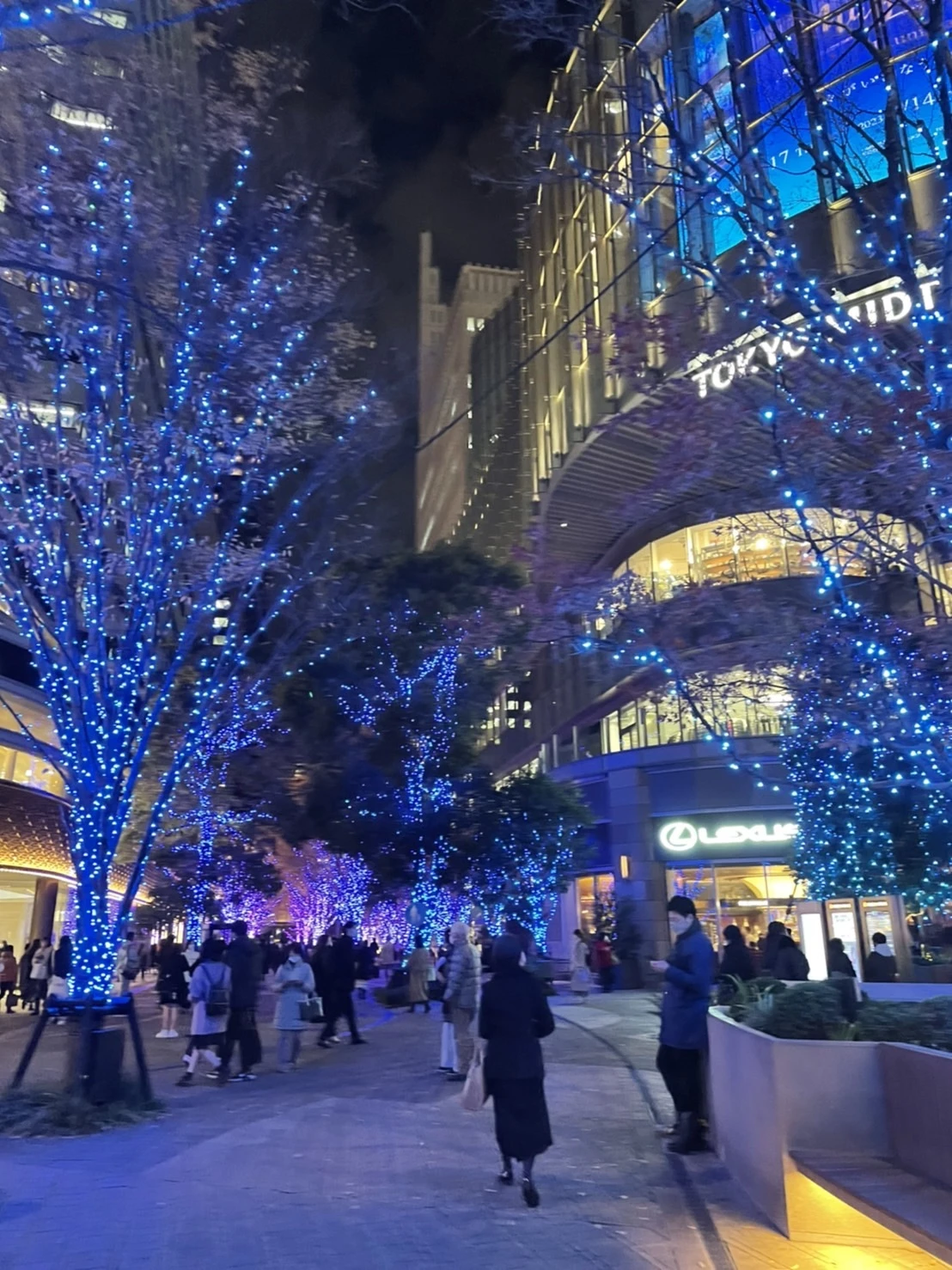 【東京クリスマスマーケット】周辺のイルミネーションもご紹介！_1_3-2