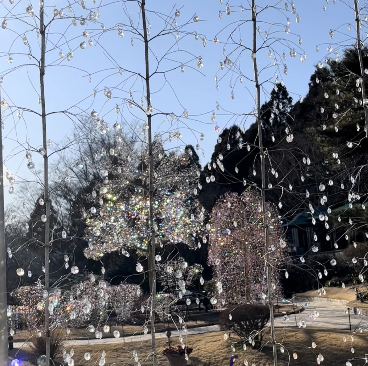 箱根ガラスの森美術館　庭園　クリスタル・ガラスのサクラ