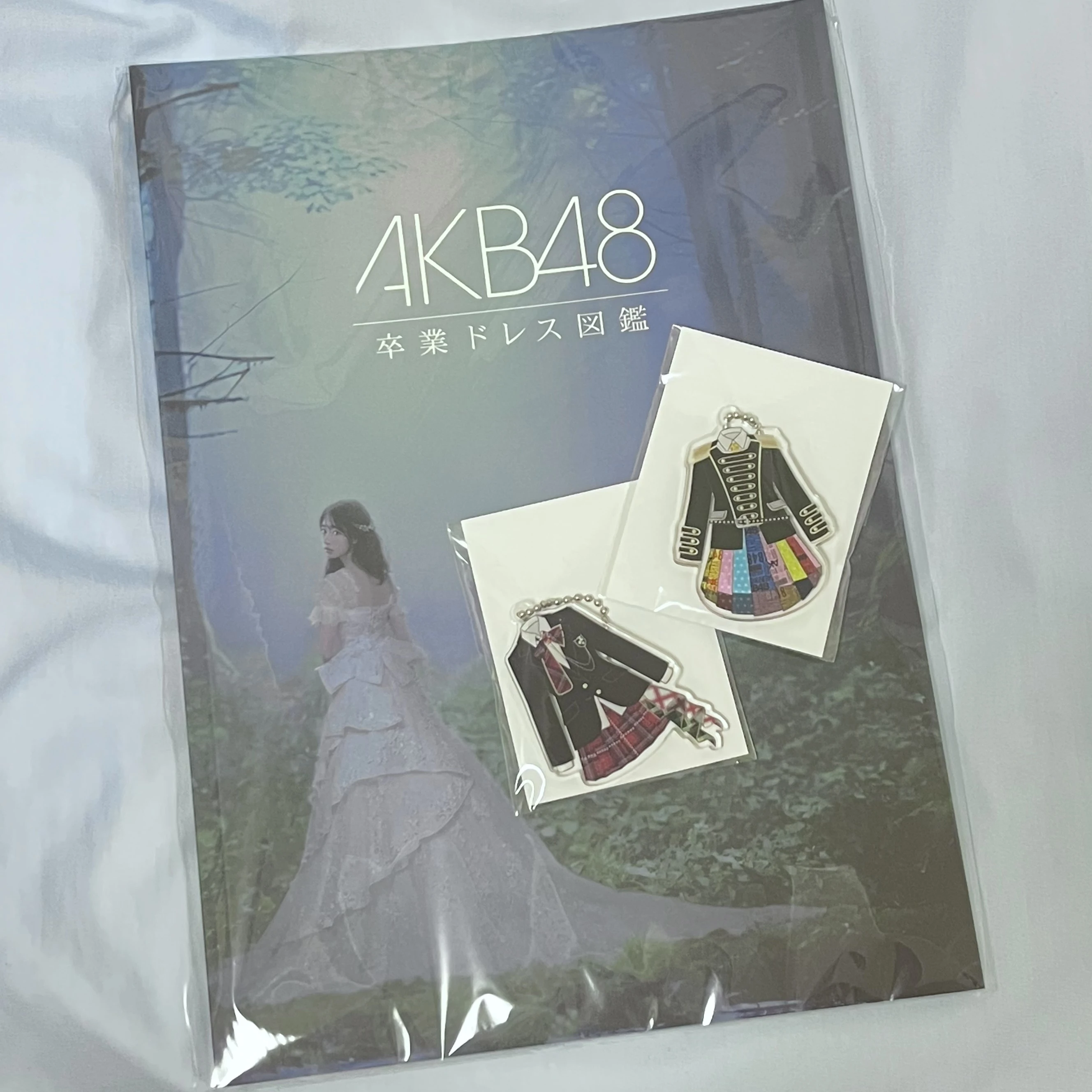 ドレスパンフレット　衣装アクリルキーホルダー　AKB48大衣装展