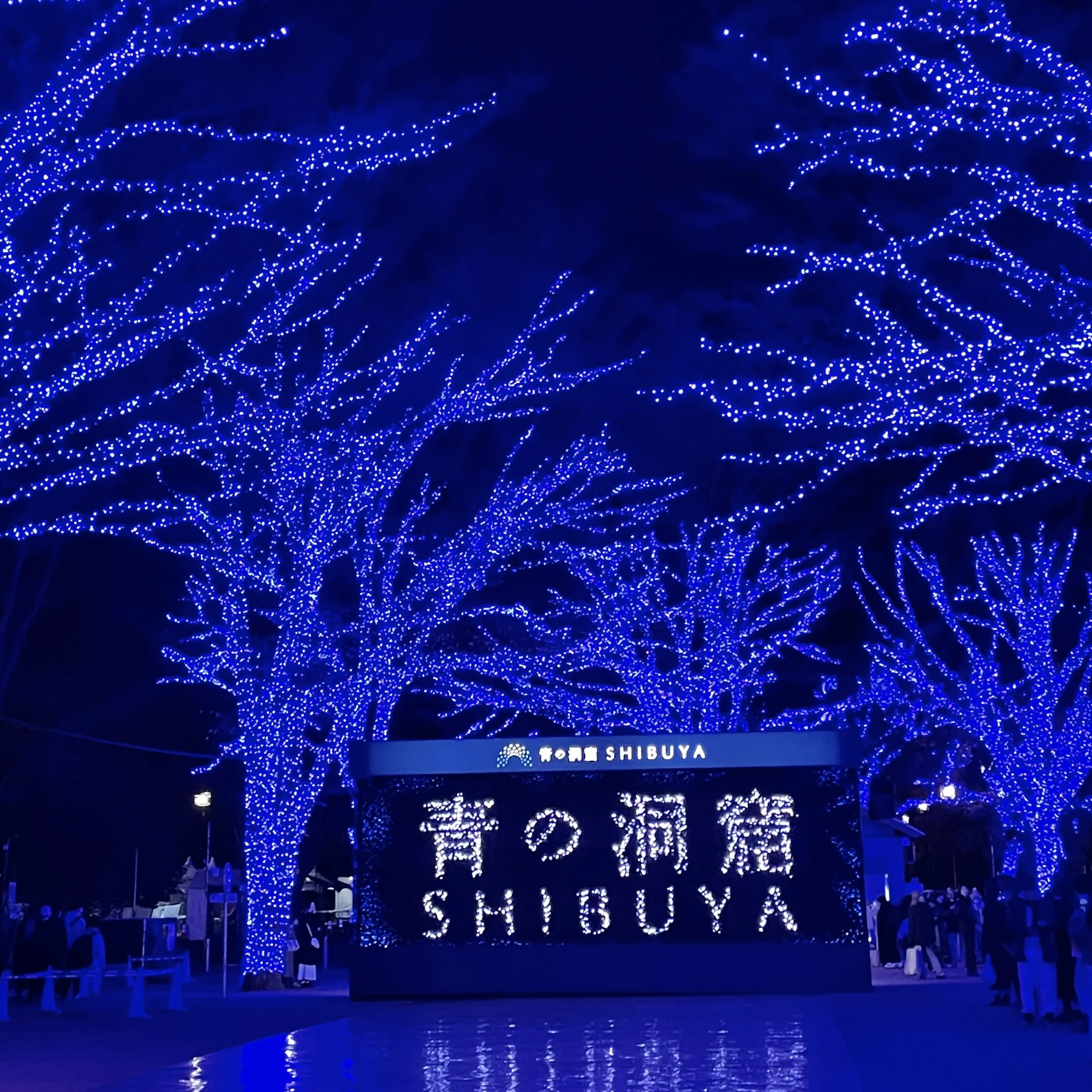 渋谷青の洞窟　クリスマスイルミネーション