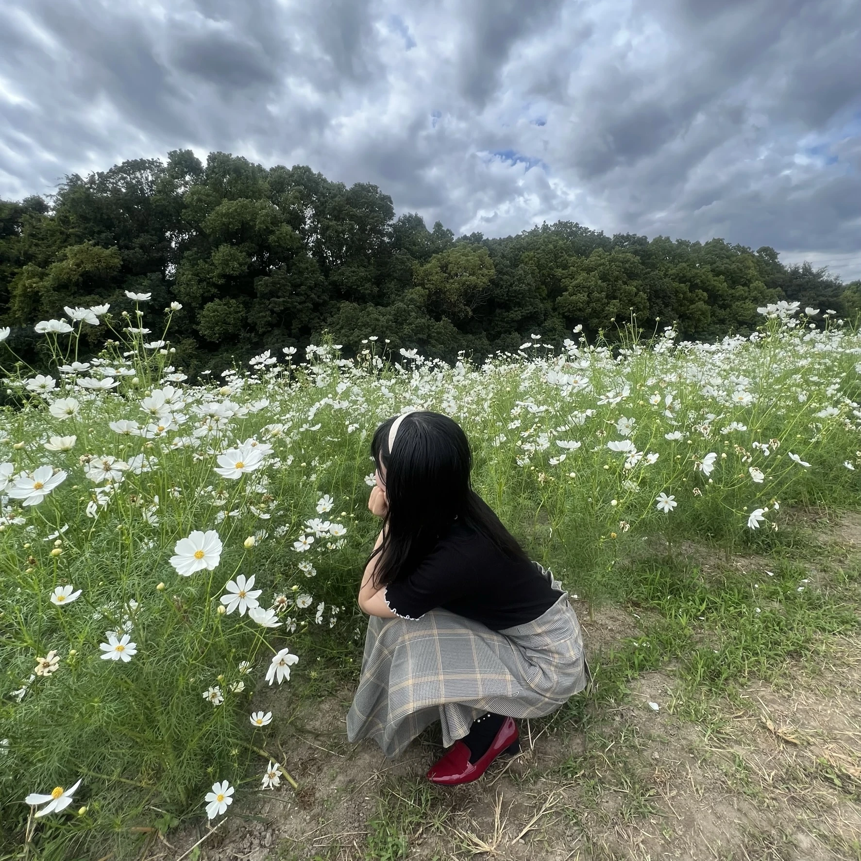 【大阪】私の地元、ここがすごいんです！万博記念公園で季節のお花を！_1_8-3