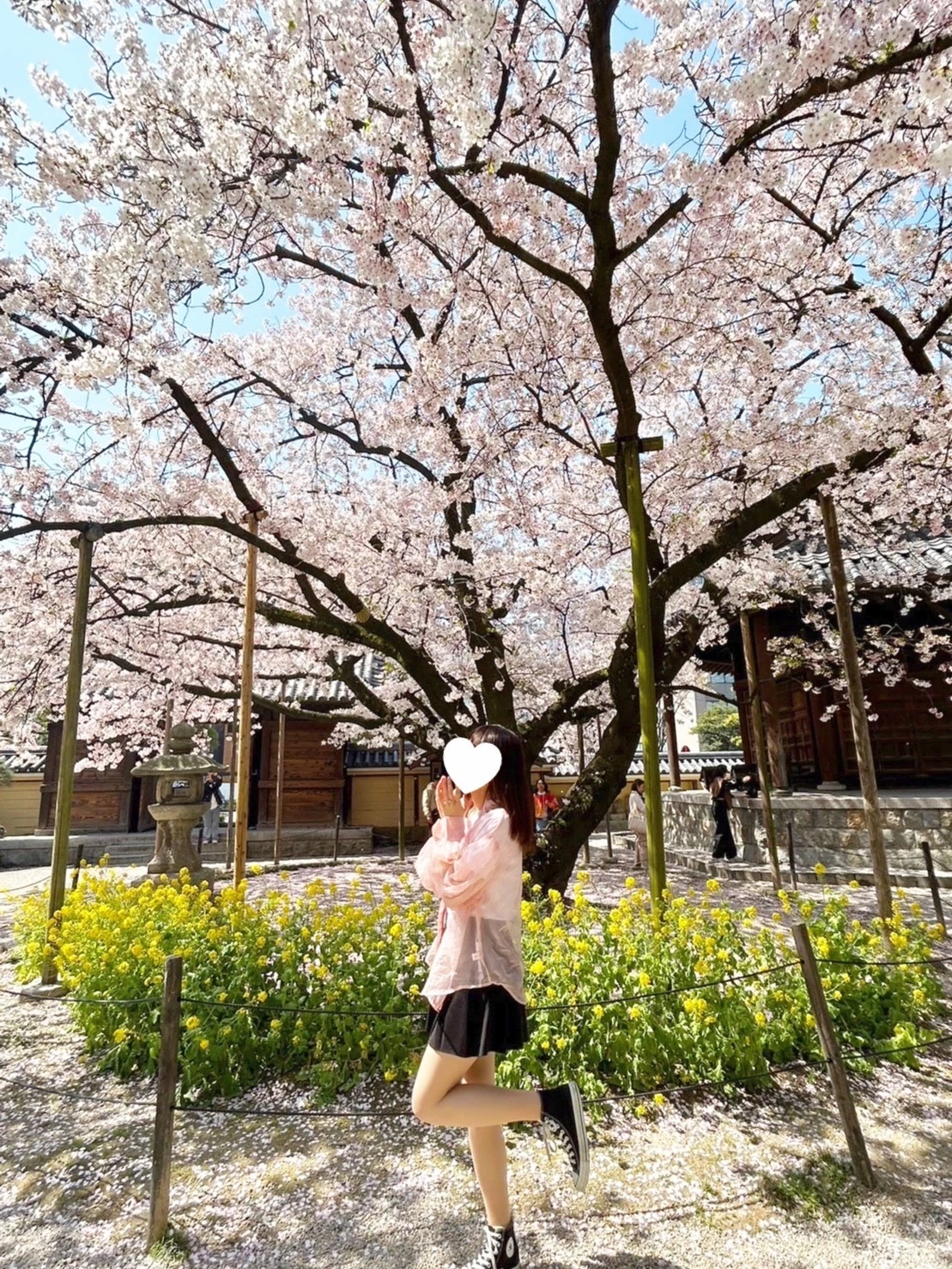 non-no大学生エディターズ　桜の木の下で撮影