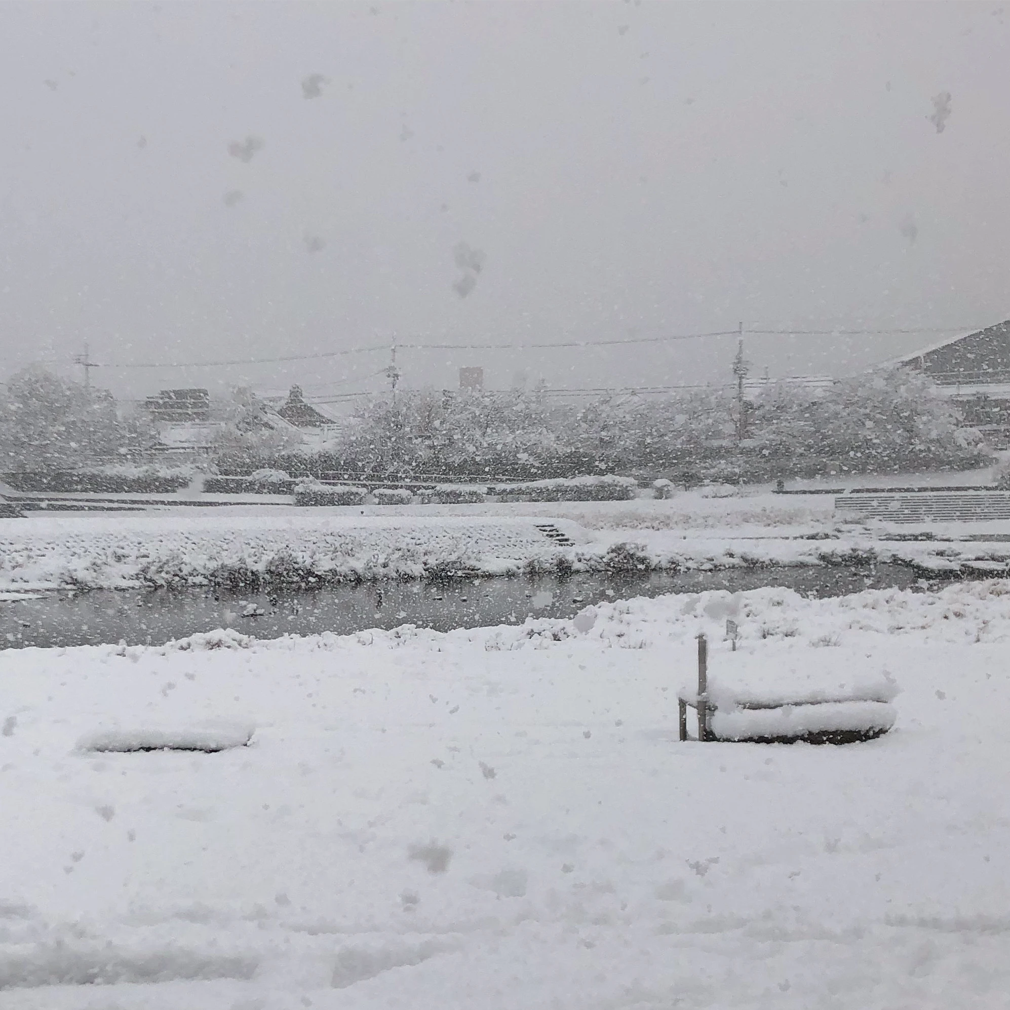 雪が降り積もっている鴨川の写真