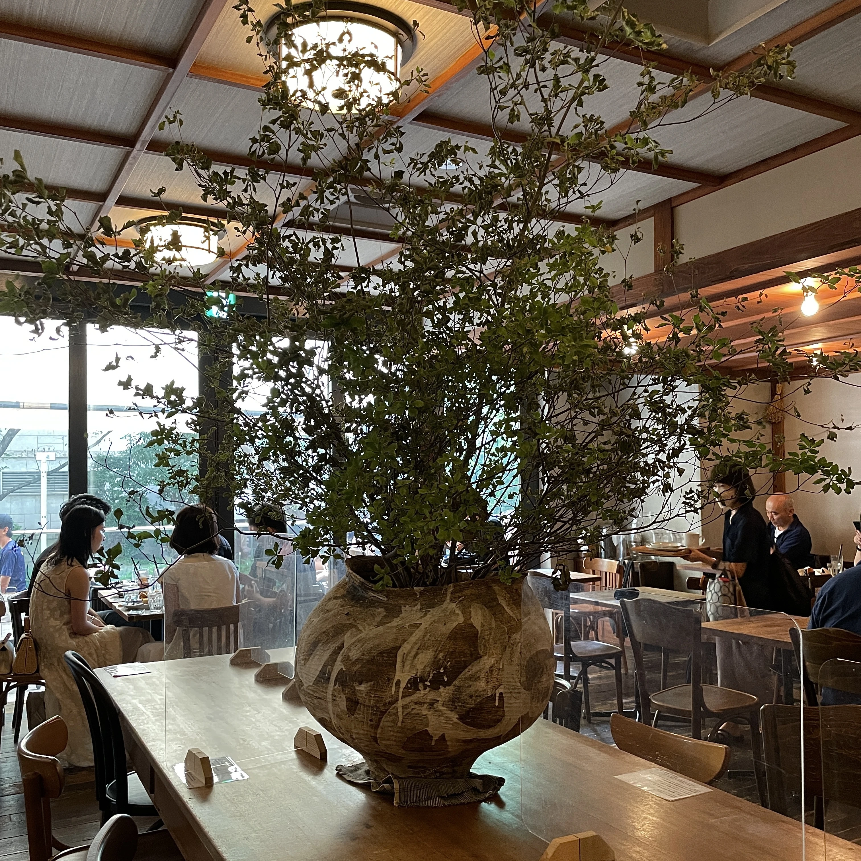 大きなダイニングテーブルには、浜名一慶氏の大壺に生けられた迫力あるグリーンが。