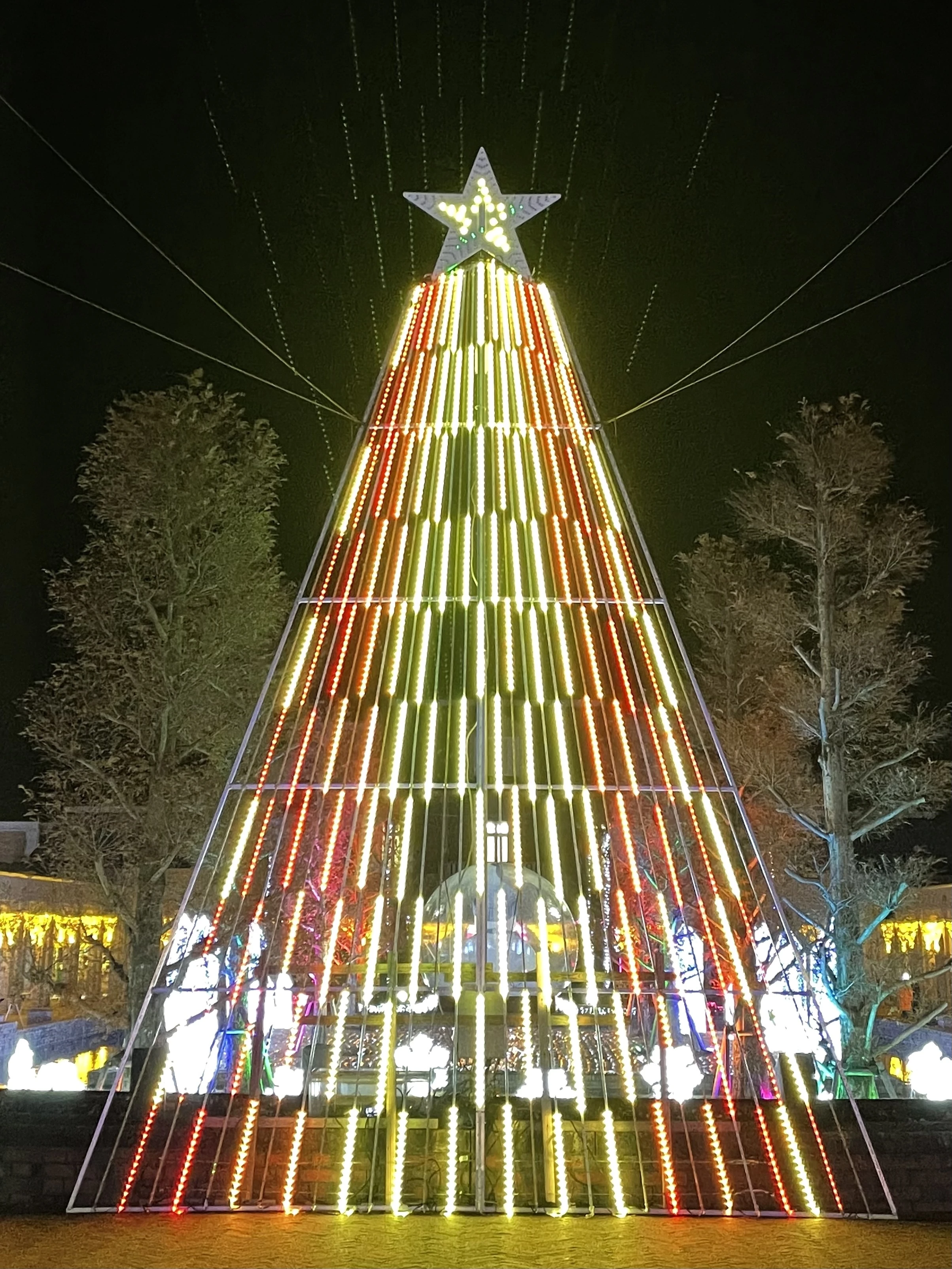 2022 神戸イルミナージュ　クリスマスツリー