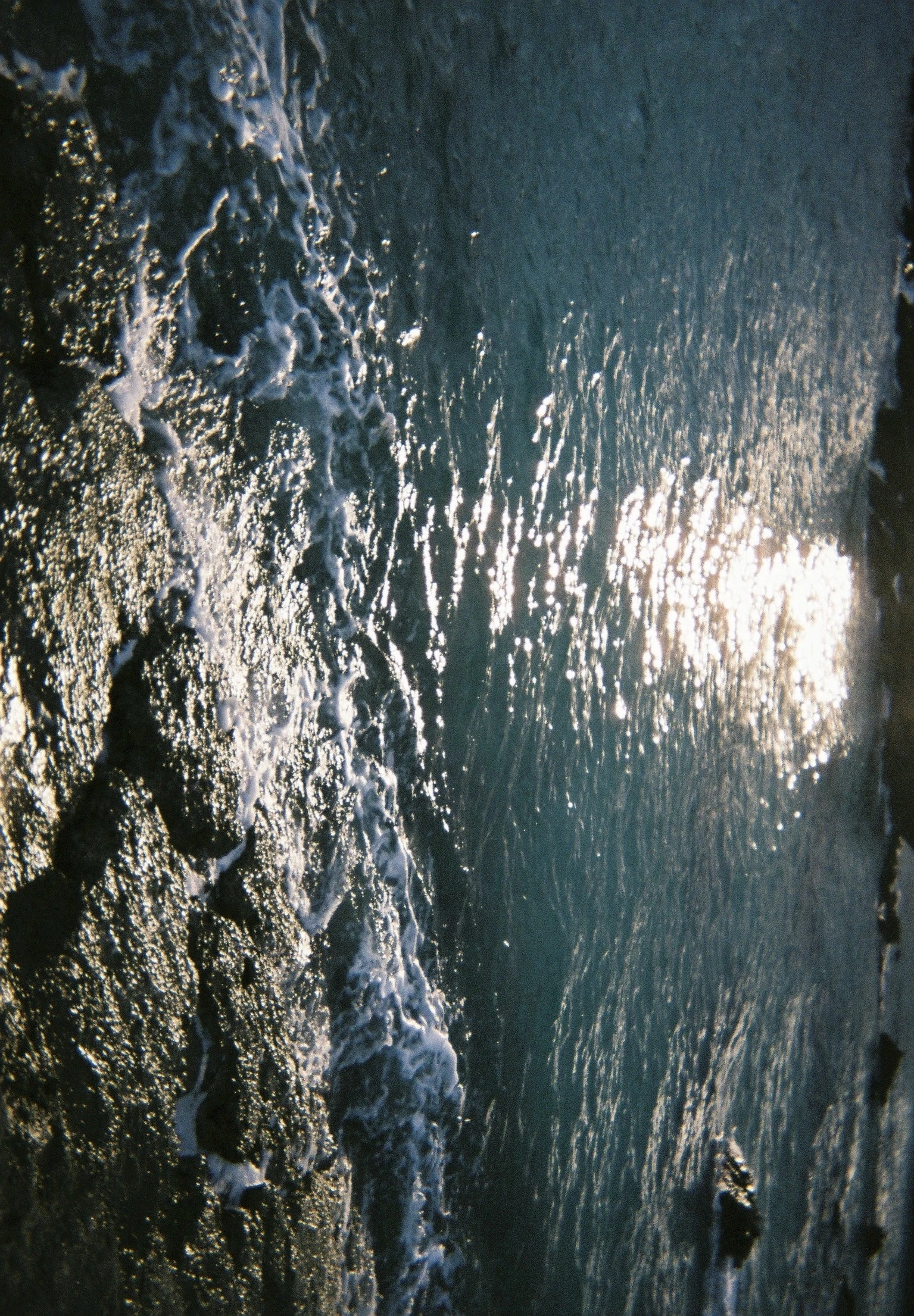 写ルンです（FUJIFILM）で撮影した海