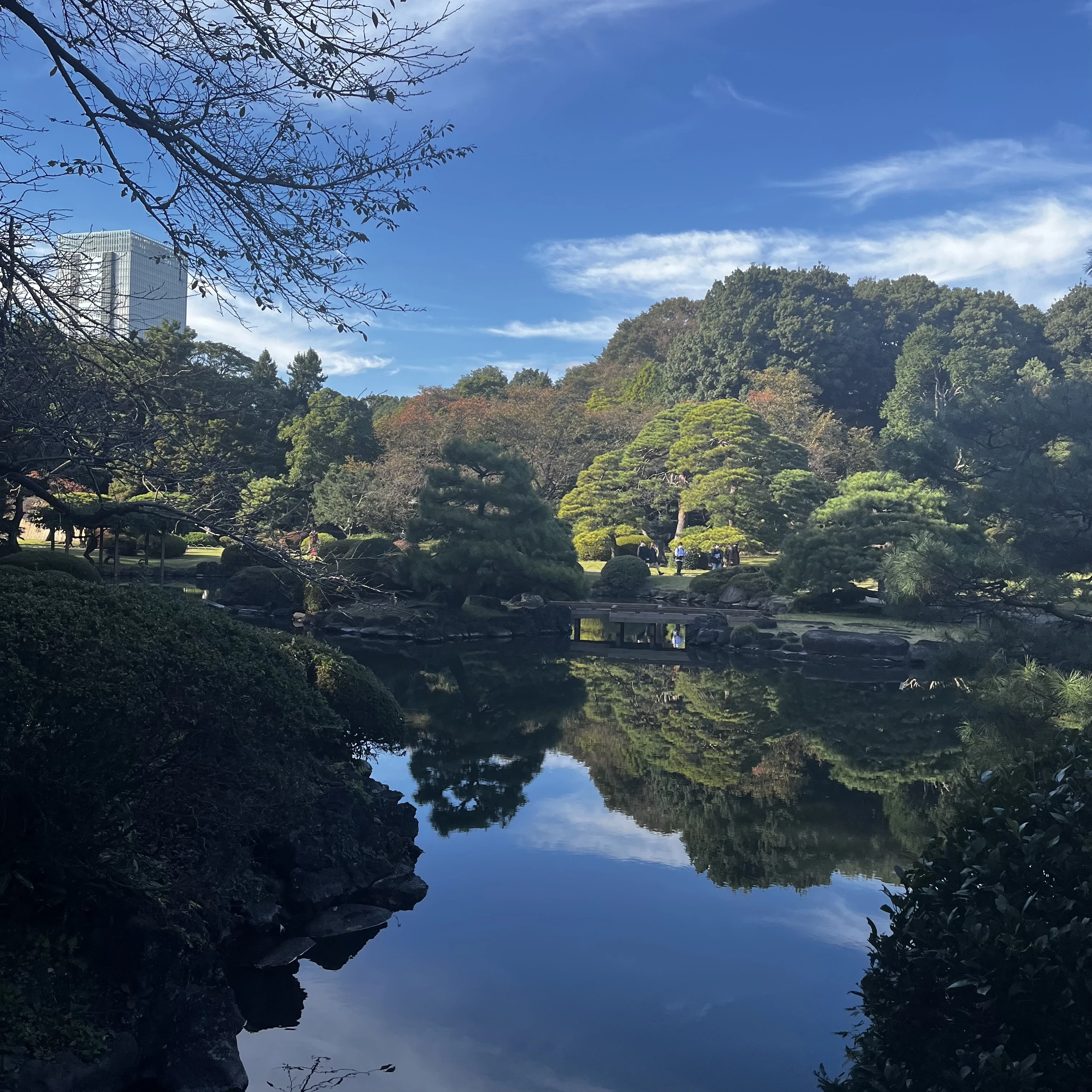 日本庭園　自然　水面