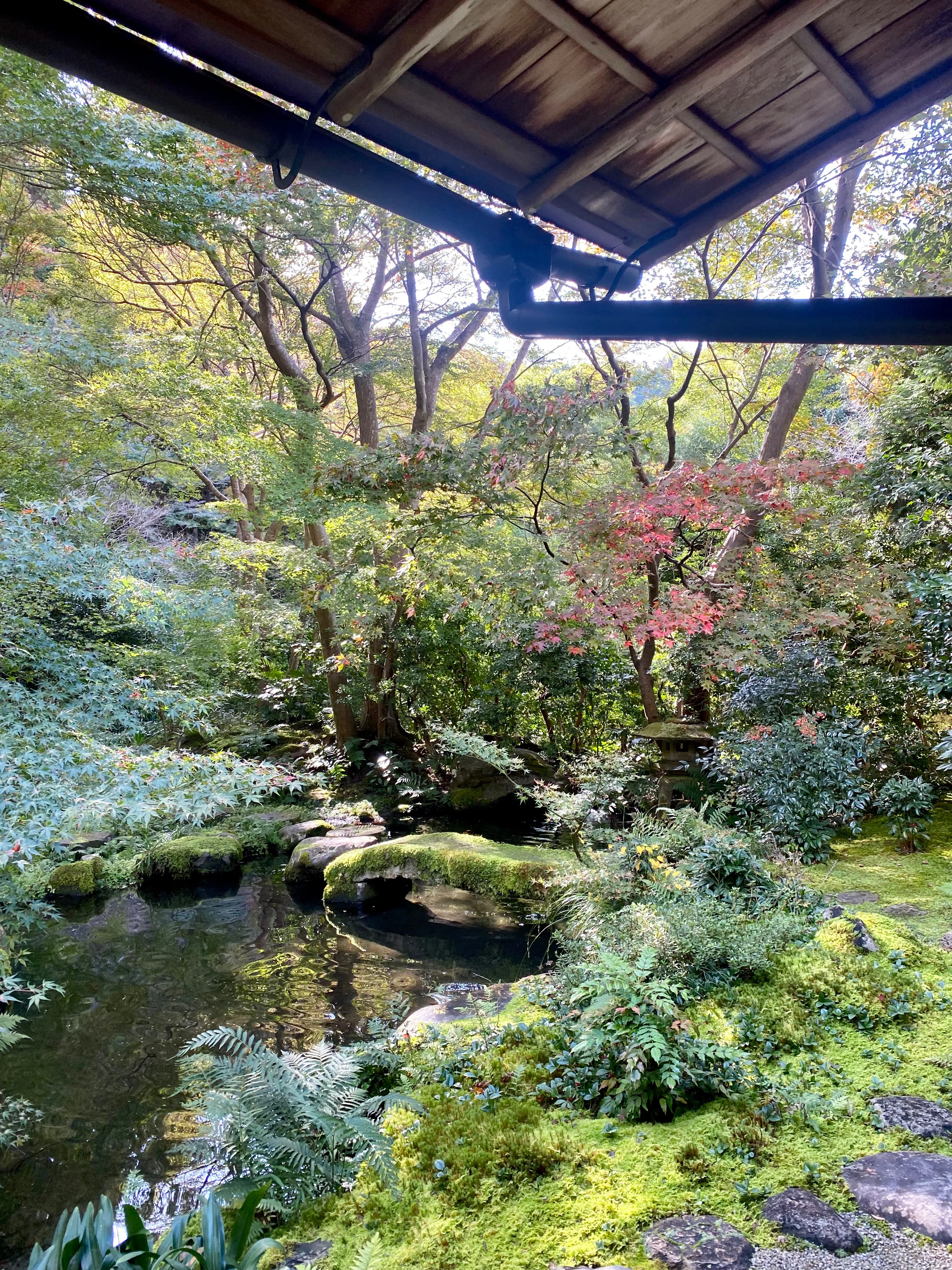 無量寿山光明寺 京都本院 瑠璃光院　臥龍（がりょう）の庭