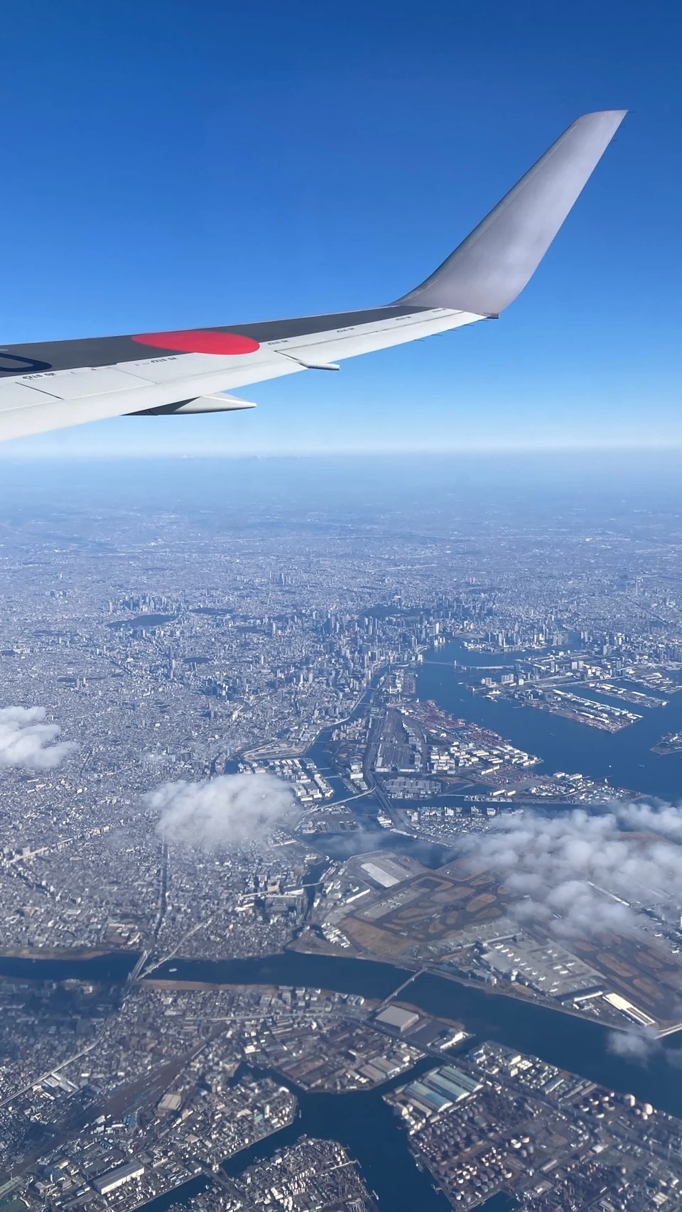 JAL　飛行機　景色