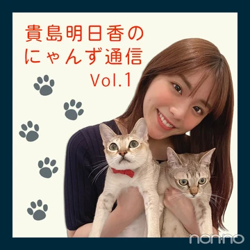 ノンノモデルが愛猫トーク♡ 貴島明日香のにゃんず通信 #01にゃんずとの出会い