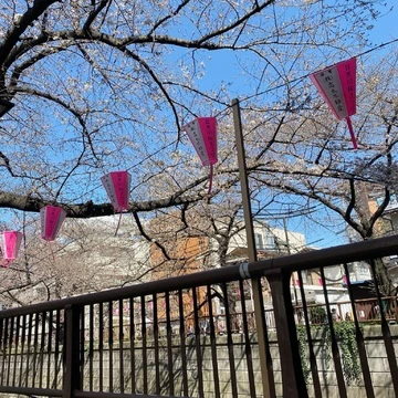 【お花見】桜の名所、中目黒で食べられる絶品スープのお店_1_1-1
