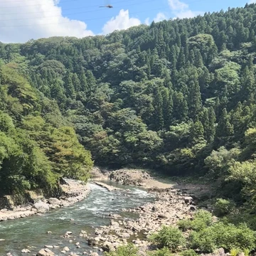 嵯峨野トロッコ列車走行中の風景の写真