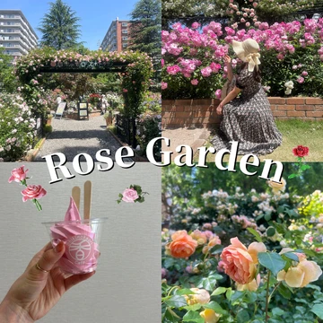 【2024年5月】東京/バラ園  入場無料で楽しめる！「四季の香りローズガーデン」