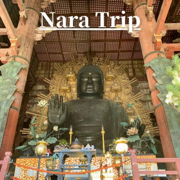 【奈良観光】お寺も鹿も紅葉も！1日で満喫できる日帰り奈良ひとり旅