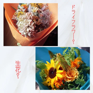 【お花のある暮らし】ドライフラワーと生花、どっちを飾る？