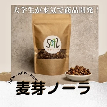 【商品開発】大学生が作った麦芽×グラノーラ販売開始