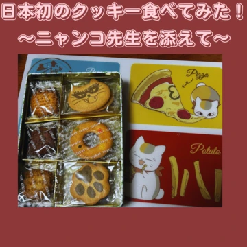 【日本初】クッキーを初めて売ったお店に行ってみた！