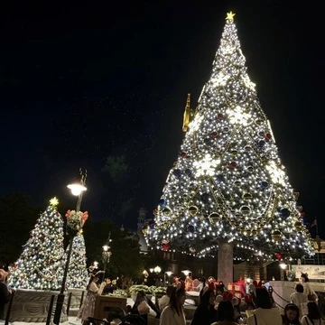 【Disney Christmas】東京ディズニーシークリスマスフォトスポット6選！_1_5-2
