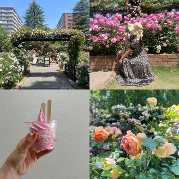 【2024年5月】東京/バラ園  入場無料で楽しめる！「四季の香りローズガーデン」