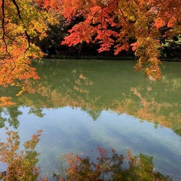 池　赤い紅葉
