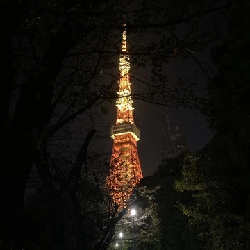 東京タワーの夜景と本場イタリアンを楽しめるお出かけコースをご提案！_1_2-1