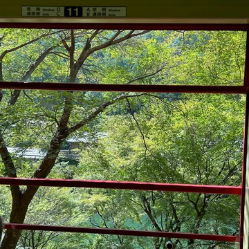 嵯峨野トロッコ列車車内の写真