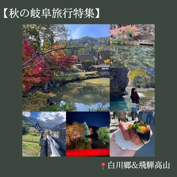 【岐阜旅行】紅葉シーズンに行きたい！2泊3日で白川郷・飛騨高山を巡る旅
