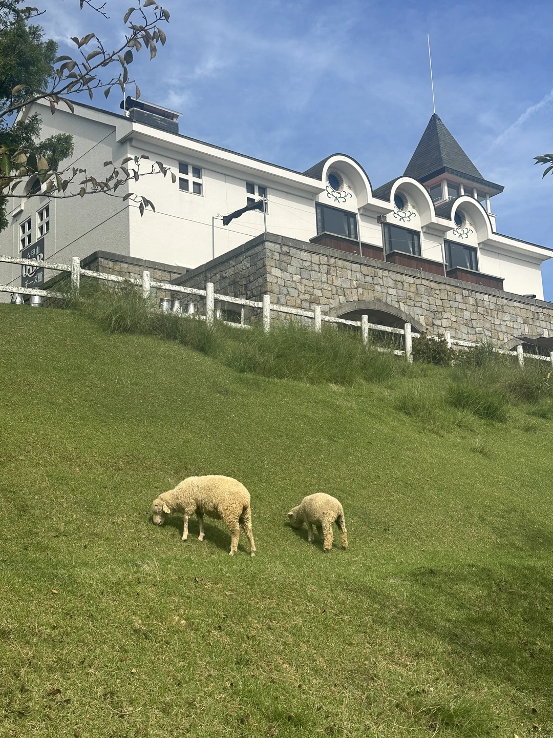 【六甲山牧場】　☀︎神戸おすすめスポット☀︎