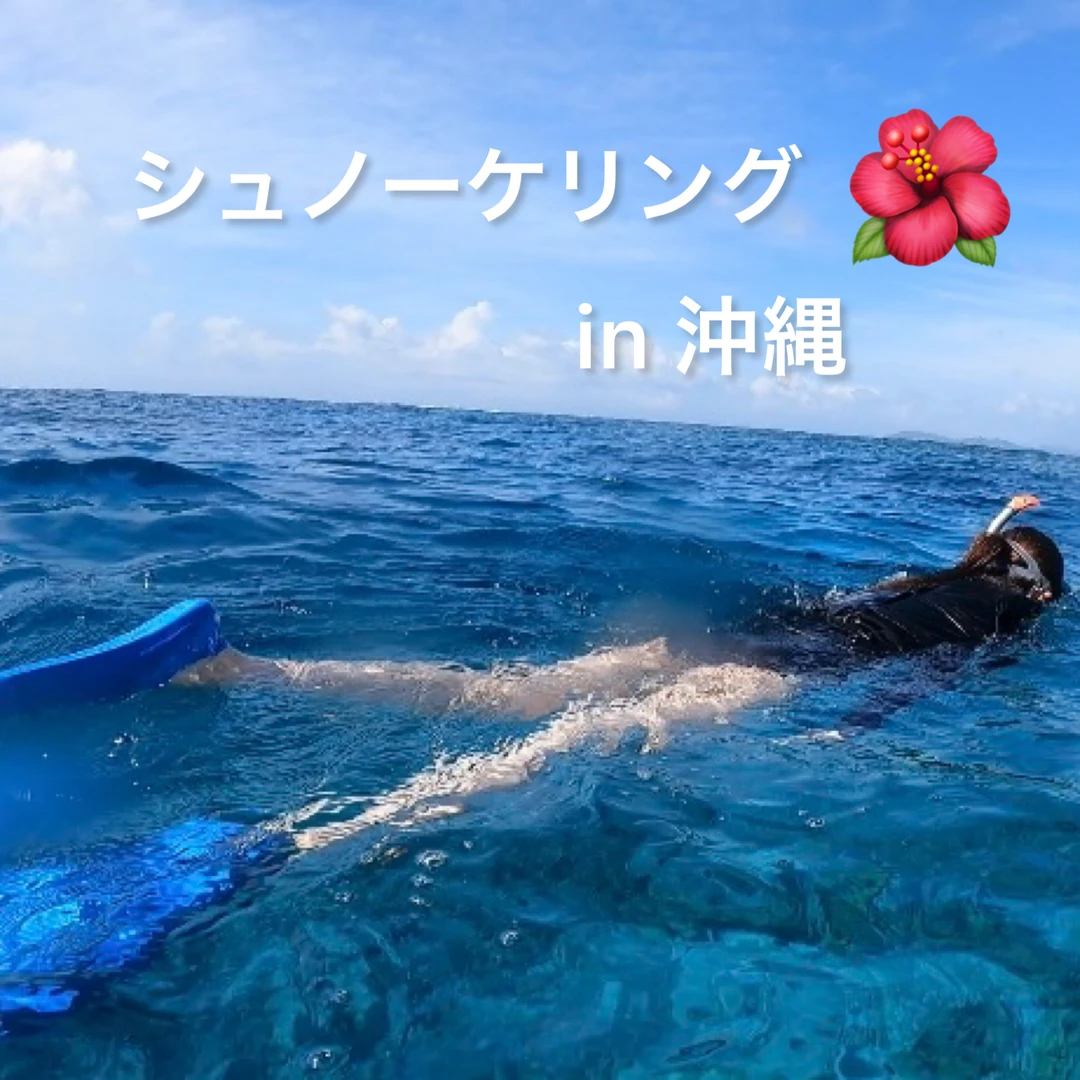 【沖縄】透き通る海でシュノーケリング体験！！
