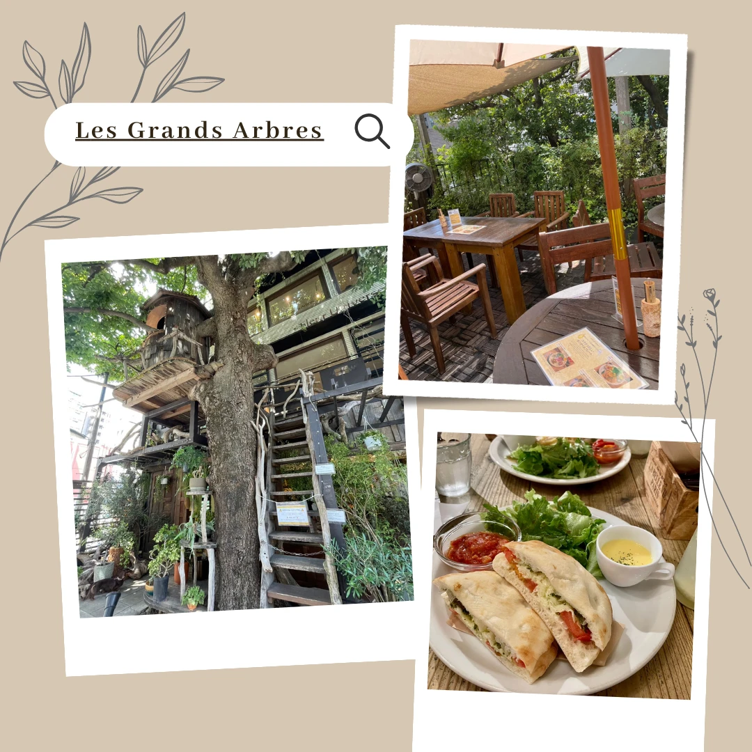 【広尾カフェ】都会のツリーハウスでリラックスカフェ時間 『レ・グラン・ザルブル』