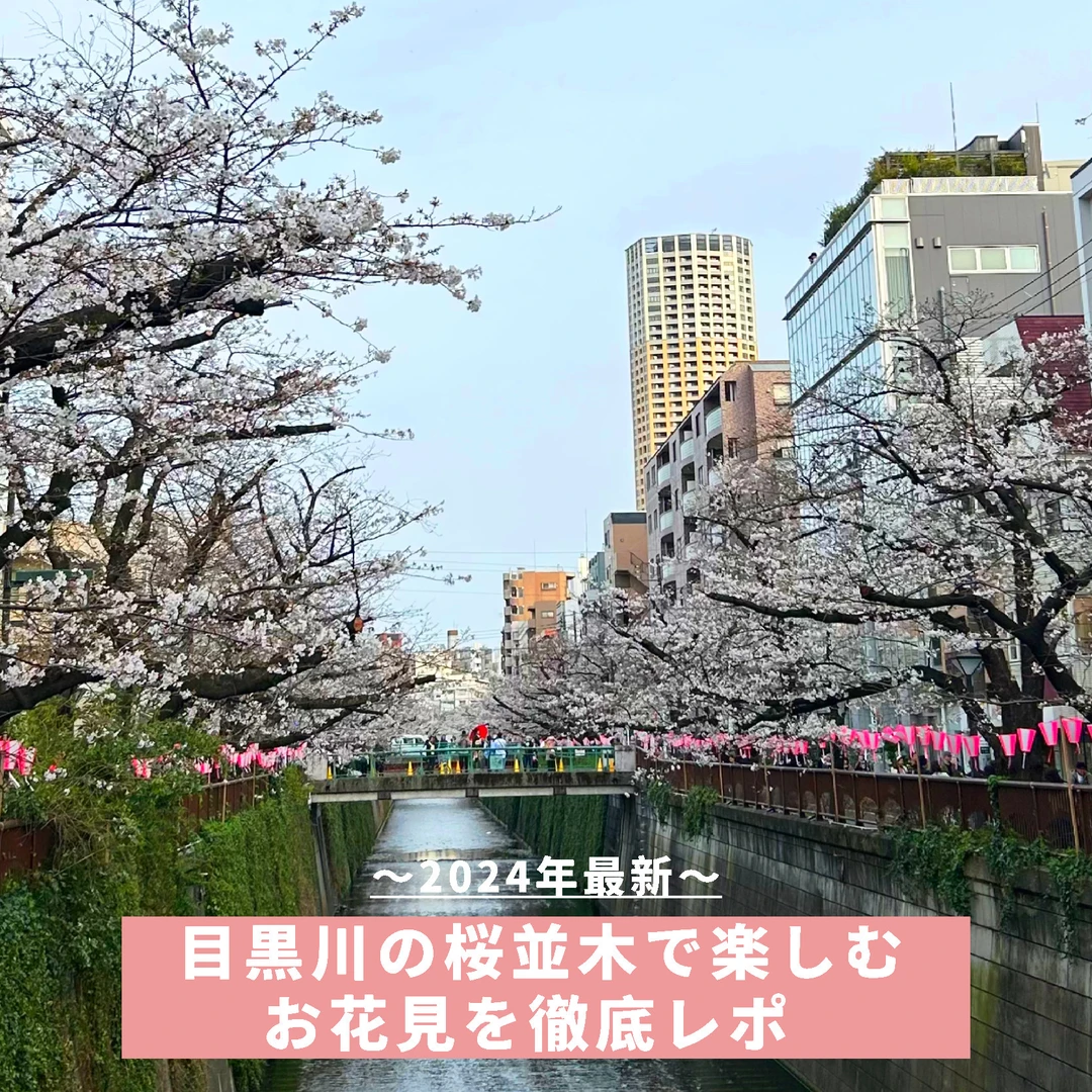 【超穴場な写真スポットからグルメまで！】2024年最新・目黒川の桜並木で楽しむお花見を徹底レポ