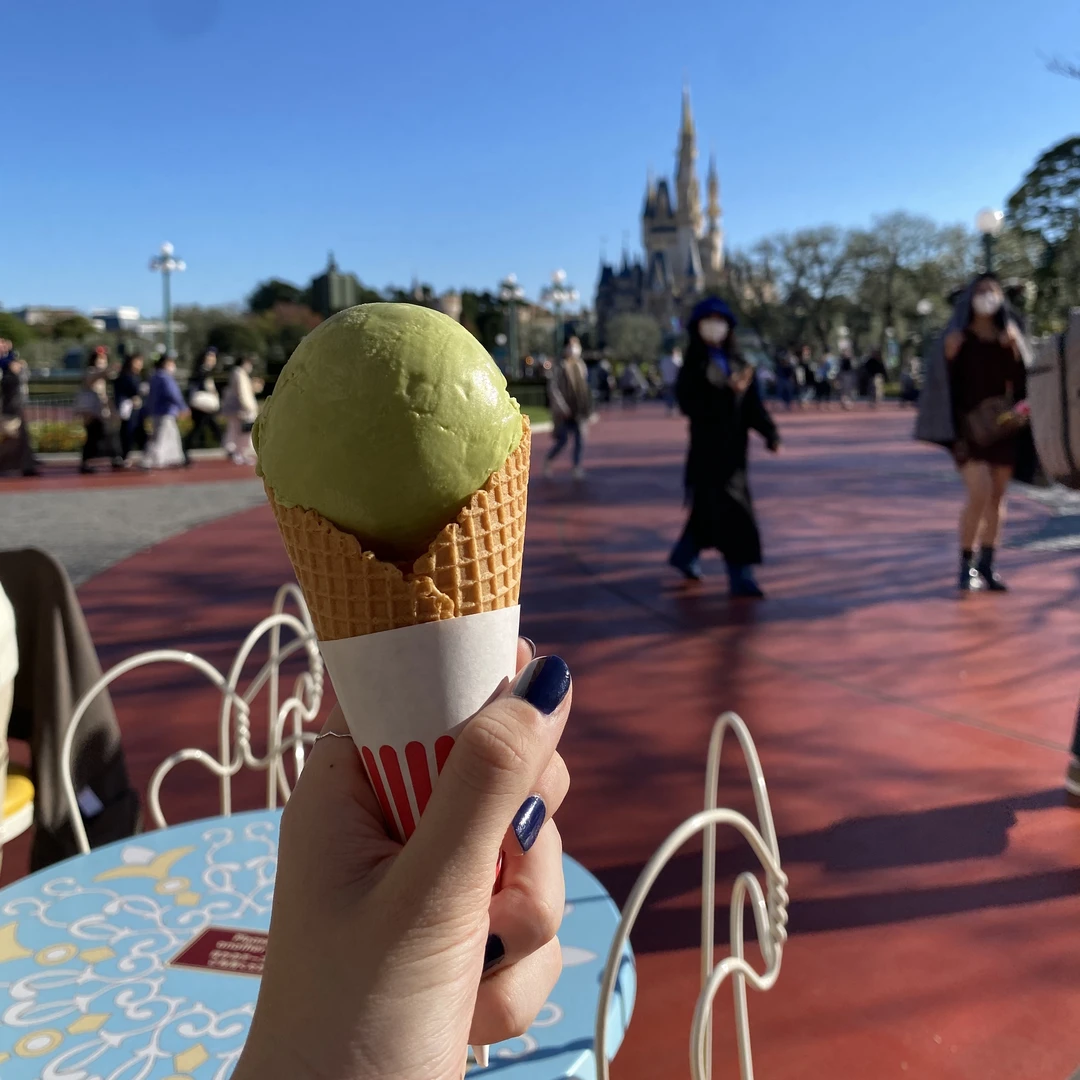 目当てはフード！？】ディズニーランドで食べるしかないおすすめフード