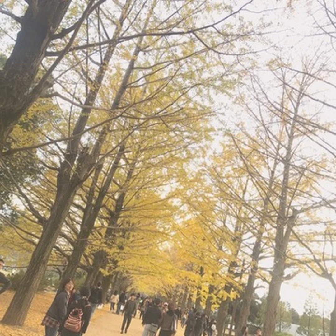 【都内で】秋を堪能！国営昭和記念公園の魅力♡