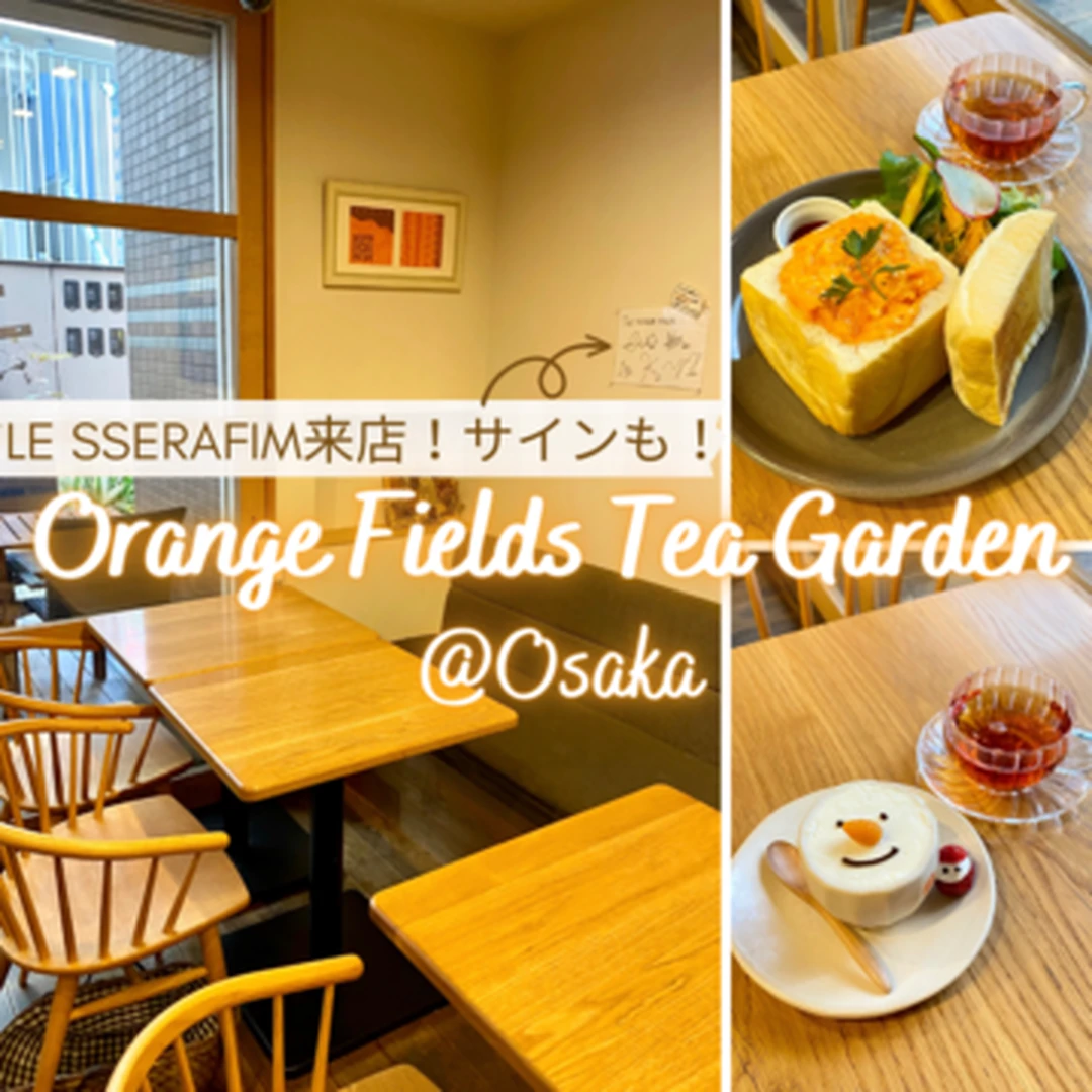 【LE SSERAFIM ルセラフィム来店！】大阪・天満の紅茶専門隠れ家カフェでヲタ活