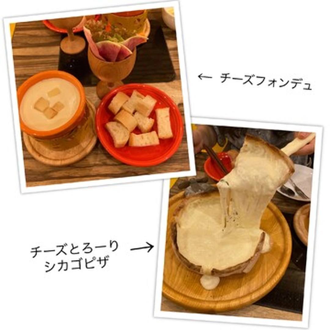【チーズ好き必見】渋谷でチーズ料理を堪能したいならココ！