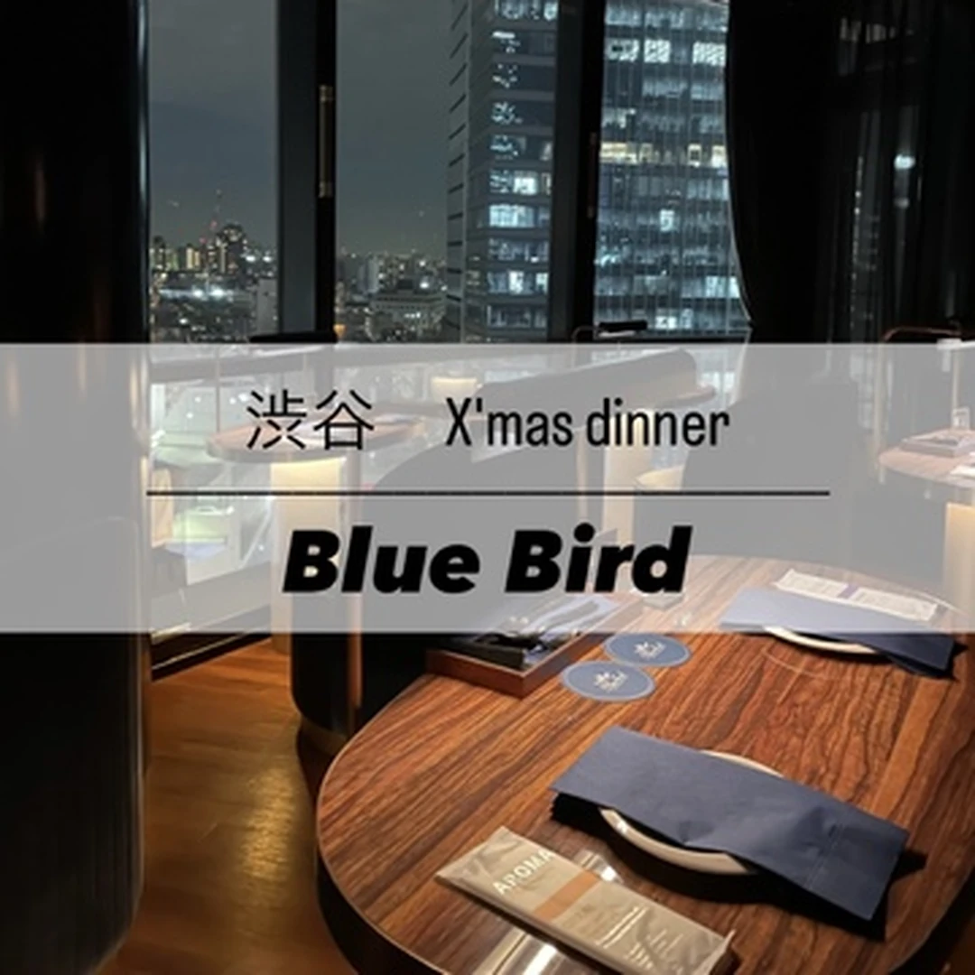 【渋谷】Blue Birdで¥5,000の夜景クリスマスディナー！