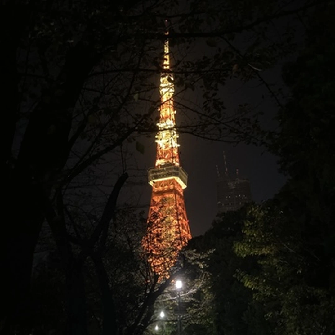東京タワーの夜景と本場イタリアンを楽しめるお出かけコースをご提案！