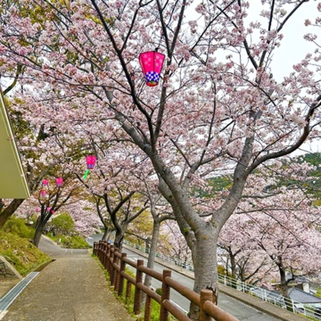 【お花見】春休みは桜のシャワーを浴びて