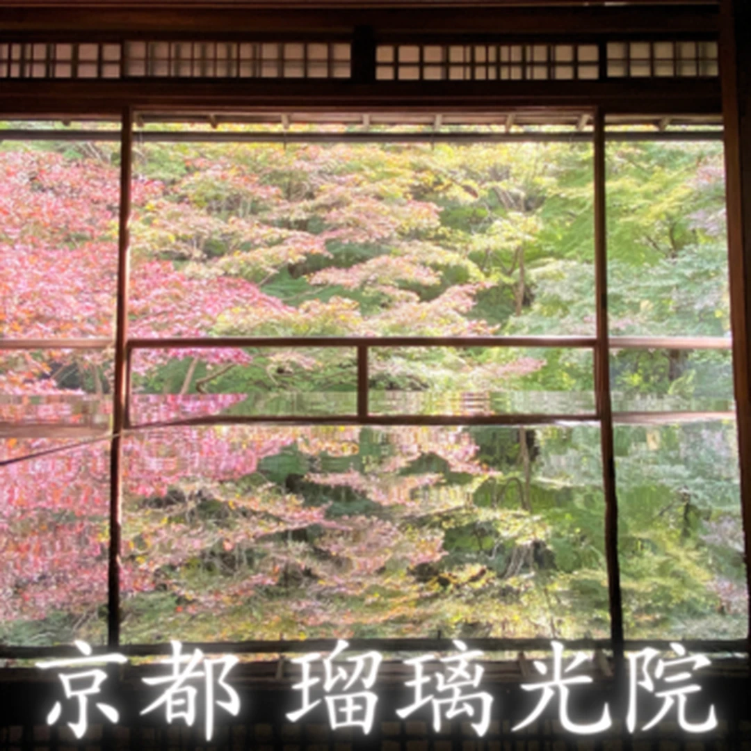 【反射する「逆さ紅葉」で話題】京都 瑠璃光院のもみじをお届け！