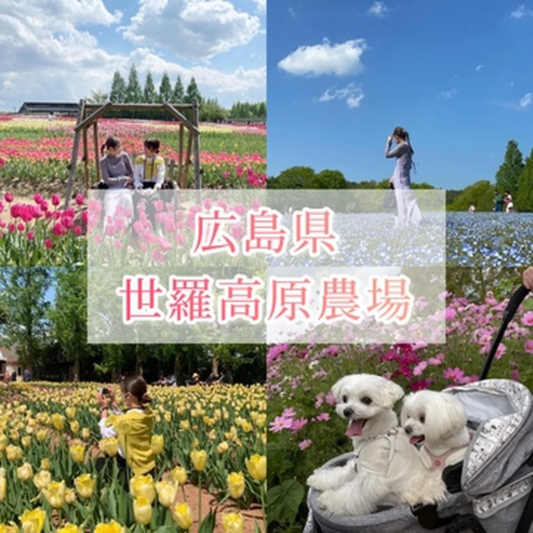 【広島】まるで絵本の世界！四季を彩る美しいお花畑