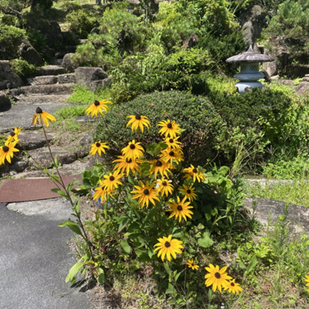 【夏休み突入】岐阜の大自然を堪能してきました！