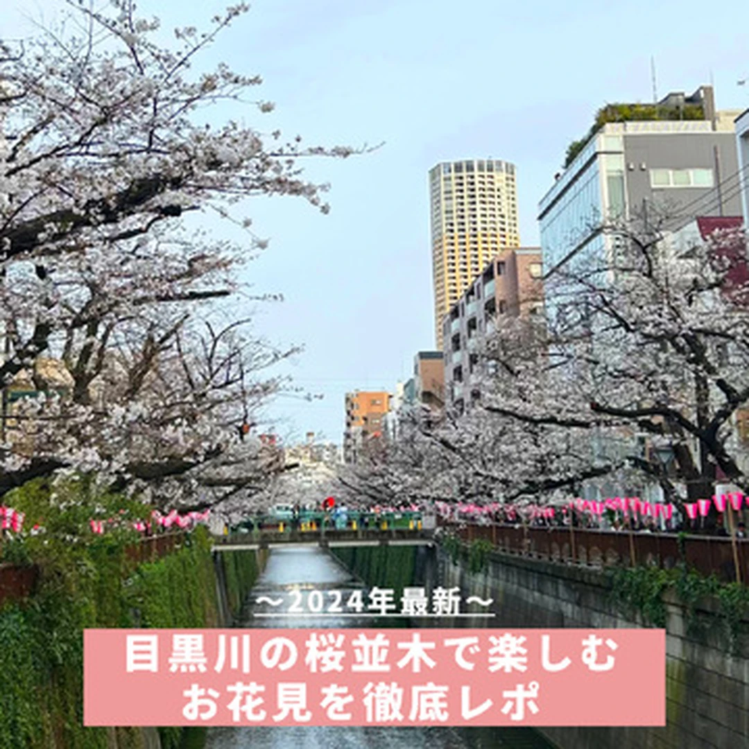 【超穴場な写真スポットからグルメまで！】2024年最新・目黒川の桜並木で楽しむお花見を徹底レポ